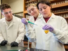 University of Mary SURVE students Ethan Emineth (left), Grace Dahl (middle), and Mariapocs Ruiz Martinez (right). Mariapocs “Maria” is demonstrating how media is removed from a culture flask so that the number of cells in the culture can be measured. She is using aseptic technique in the presence of a Bunsen burner so that the culture media does not become contaminated.