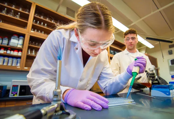 University of Mary SURVE students Ethan Emineth and Grace Dahl demonstrate how diluted cell cultures are transferred into a 96-well plate so that a spot assay can be performed. After filling the 96-well plate with cell culture samples, Dahl and Emineth will use a multichannel pipette to spot cells onto solid media. Credit: Mike McCleary/University of Mary