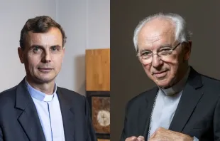 Belgian prelates Archbishop Luc Terlinden of Mechelen-Brussels (left) and former archbishop of Mechelen-Brussels Cardinal Jozef De Kesel were fined by a Belgian court after they denied a woman entry into a diaconate formation program. Credit: HATIM KAGHAT/BELGA/AFP via Getty Images