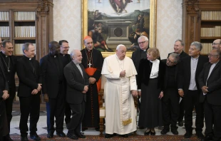 Pope Francis speaks to members of the International Theological Commission at the Vatican on Thursday, Nov. 28, 2024. Vatican Media