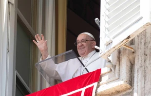 Pope Francis greets pilgrims at the Sunday Angelus at the Vatican, August 11, 2024 Vatican Media