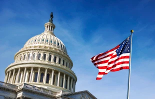 The makeup of the U.S. Senate could change as a result of the 2024 elections. Credit: rarrarorro, Shutterstock