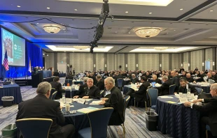 The U.S. bishops gather in Baltimore on Nov. 12, 2024, for their fall plenary assembly. Credit: Madalaine Elhabbal/CNA