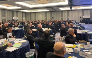 The United States Conference of Catholic Bishops meets for its fall plenary assembly meeting Nov. 14, 2023, in Baltimore. Credit: Joe Bukuras/CNA