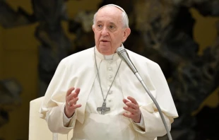 Pope Francis at the general audience in Paul VI Hall on March 2, 2022 Vatican Media