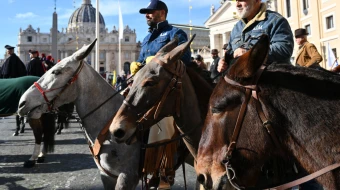 Men ride mules in Via della Conciliazione as they take part in the feast of San Antonio Abate (St. Anthony the Abbot), the patron saint and protector of animals, in Piazza Pio XII in front of the Vatican, in Rome on Jan. 17, 2025. Italian farmers and member of the Coldiretti farmers association gathered in the Vatican where families and animals received a benediction from Cardinal Mauro Gambetti.