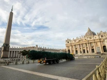 Despite an online petition posted to change.org in mid-October that garnered over 53,000 signatures in protest of the evergreen to be used for the Vatican Christmas tree being chopped down, the tree arrived as scheduled in St. Peter’s Square at 7 a.m. on Nov. 21, 2024.