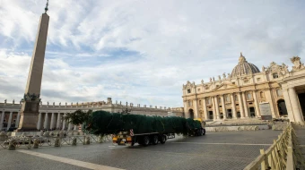 Despite an online petition posted to change.org in mid-October that garnered over 53,000 signatures in protest of the evergreen to be used for the Vatican Christmas tree being chopped down, the tree arrived as scheduled in St. Peter’s Square at 7 a.m. on Nov. 21, 2024.