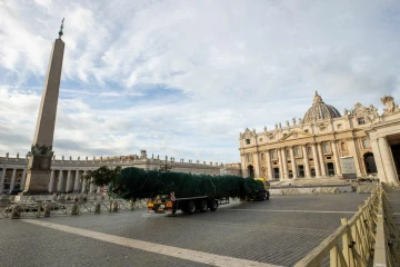 Vatican Christmas tree