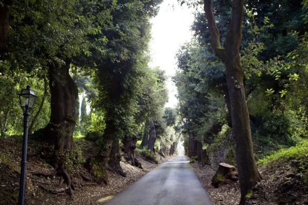 Visitors to the Vatican Gardens at Castel Gandolfo will experience “an immersive experience in the principles of Laudato Si’.” Credit: Courtney Mares/CNA