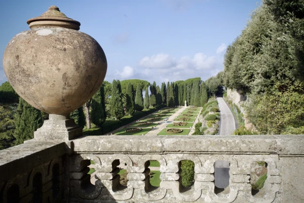 Visiting pilgrims to the Vatican Gardens at Castel Gandolfo during the 2025 Jubilee Year will have the opportunity to taste the produce of Borgo Laudato Si’s organic farm, where olive oil will be pressed from the estate’s 1,400 olive trees and a vineyard will produce wine using advanced, pesticide-free techniques. Credit: Courtney Mares/CNA