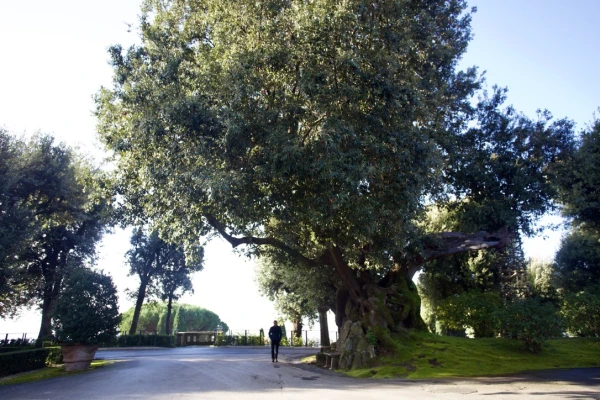 The Vatican Gardens at Castel Gandolfo. Credit: Courtney Mares/CNA