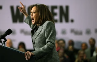 Vice President Kamala Harris speaks during a rally at the International Union of Painters and Allied Trades District Council 7 facility on Jan. 22, 2024, in Big Bend, Wisconsin. The rally was the first of the nationwide Fight for Reproductive Freedoms tour. Credit: Scott Olson/Getty Images