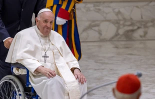 Pope Francis at the general audience in the Vatican, Aug. 24, 2022 Pablo Esparza / CNA