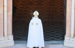 Pope Francis opens the Holy Door in L'Aquila, Italy, on Aug. 28, 2022. Credit: Daniel Ibanez/CNA