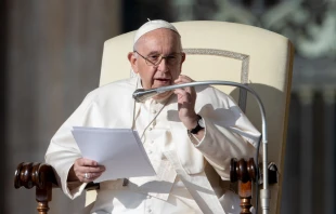 Pope Francis speaking on St. Peter's Square, Vatican, Oct. 12, 2022. Daniel Ibáñez / CNA