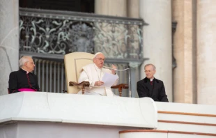 Pope Francis speaking at the general audience on St. Peter's Square, Nov. 9, 2022 Daniel Ibáñez / CNA