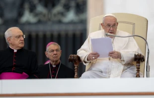 Pope Francis at the general audience, Nov. 16, 2022 Daniel Ibáñez / CNA