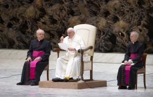 Pope Francis speaking at the general audience at the Vatican, Dec. 14, 2022 Daniel Ibáñez / CNA