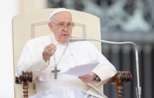 Pope Francis speaks at his general audience on Sept. 20, 2023. Credit: Daniel Ibanez/CNA