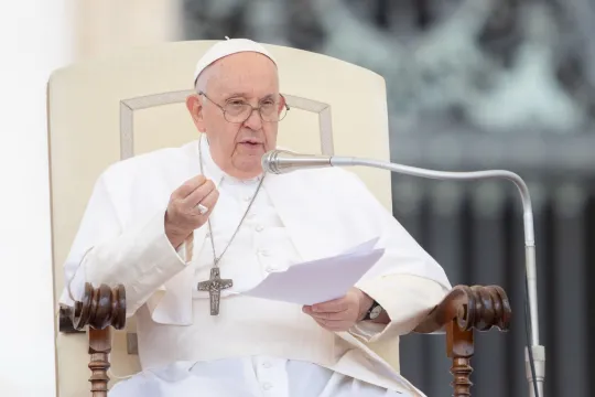 Hard To Watch: Pope Francis Is Having An Emotional Breakdown At The Beach  Because He Thinks The Dead Whale That Got Stranded There Is God