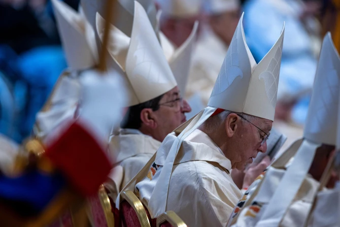 Cardinals attend Mass for the solemnity of the Immaculate Conception in St. Peter's Basilica, Dec. 8, 2024.